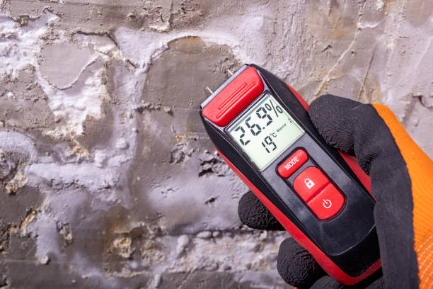 Best Toxic Mold Removal  in South Blooming Grove, NY